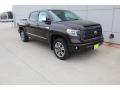 2020 Tundra Platinum CrewMax 4x4 #2