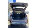 2020 Santa Fe SEL AWD #21