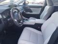  2020 Lexus RX Birch Interior #2