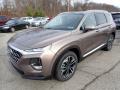  2020 Hyundai Santa Fe Earthy Bronze #5