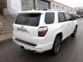 2020 4Runner Limited 4x4 #19