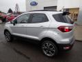 2020 EcoSport SES 4WD #8 2020 EcoSport SES 4WD #8