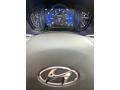  2020 Hyundai Santa Fe Limited 2.0 AWD Gauges #31