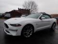 2019 Mustang GT Premium Convertible #6
