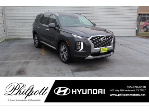Rainforest Hyundai Palisade SEL.  Click to enlarge.