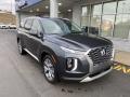 2020 Palisade SEL AWD #2 2020 Palisade SEL AWD #2