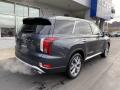2020 Palisade SEL AWD #4 2020 Palisade SEL AWD #4