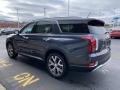2020 Palisade SEL AWD #6 2020 Palisade SEL AWD #6