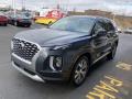 2020 Palisade SEL AWD #7 2020 Palisade SEL AWD #7