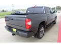 2020 Tundra Platinum CrewMax 4x4 #7