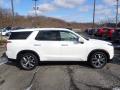 2020 Palisade SEL AWD #1 2020 Palisade SEL AWD #1