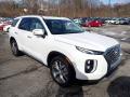 2020 Palisade SEL AWD #3 2020 Palisade SEL AWD #3