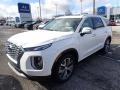 2020 Palisade SEL AWD #5 2020 Palisade SEL AWD #5