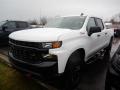 2020 Silverado 1500 Custom Trail Boss Crew Cab 4x4 #1