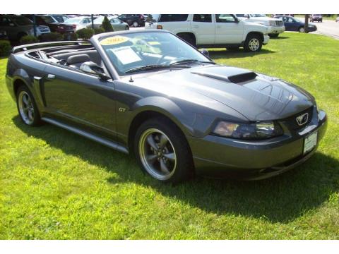 2003 Ford Mustang Svt Cobra Convertible. 2003 Ford Mustang GT