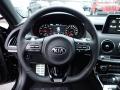  2020 Kia Stinger GT1 AWD Steering Wheel #17