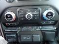 Controls of 2020 GMC Sierra 1500 Elevation Double Cab 4WD #19