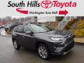 2019 RAV4 Limited AWD #1