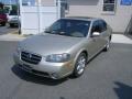 2003 Maxima SE #8