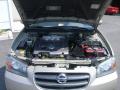 2003 Maxima SE #9