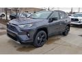 2020 RAV4 XSE AWD Hybrid #1