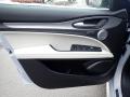Door Panel of 2020 Alfa Romeo Stelvio TI AWD #15