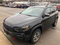 2020 Cherokee Trailhawk 4x4 #1