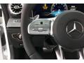  2020 Mercedes-Benz AMG GT 53 Steering Wheel #18
