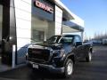 2020 Sierra 1500 Regular Cab #1