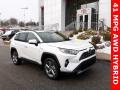 2020 RAV4 Limited AWD Hybrid #1