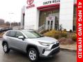 2020 RAV4 LE AWD Hybrid #1