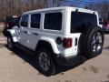2020 Wrangler Unlimited Sahara 4x4 #7