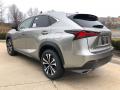 2020 NX 300 F Sport AWD #4