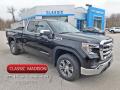 2020 Sierra 1500 SLE Double Cab 4WD #1