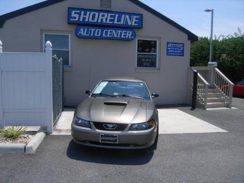 Mineral Grey Metallic Ford Mustang GT Coupe.  Click to enlarge.
