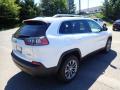 2020 Cherokee Latitude Plus #6 2020 Cherokee Latitude Plus #6