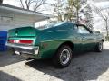  1971 AMC Javelin Brillant Green Poly #10