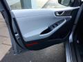 Door Panel of 2020 Hyundai Ioniq Hybrid SE #29