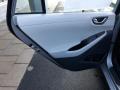 Door Panel of 2020 Hyundai Ioniq Hybrid SE #34
