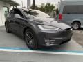 2018 Model X 100D #1