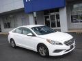 2017 Sonata SE #1