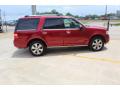 2015 Expedition Platinum 4x4 #13