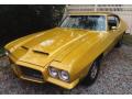 1971 GTO Hardtop Coupe #3