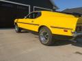 1971 Mustang Mach 1 #9
