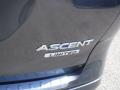 2020 Ascent Limited #17