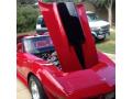 1979 Corvette Coupe #8