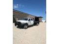 2013 5500 Crew Cab 4x4 Chassis #11