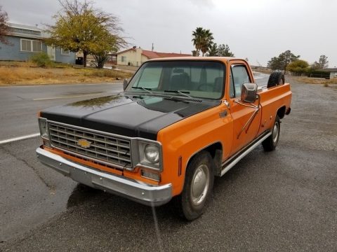 Orange Chevrolet C/K C20 Custom Deluxe Regular Cab.  Click to enlarge.