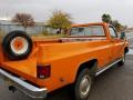  1976 Chevrolet C/K Orange #9
