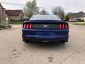 2016 Mustang EcoBoost Premium Coupe #29
